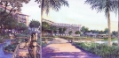 /images/portfolio/2mangrove.jpg