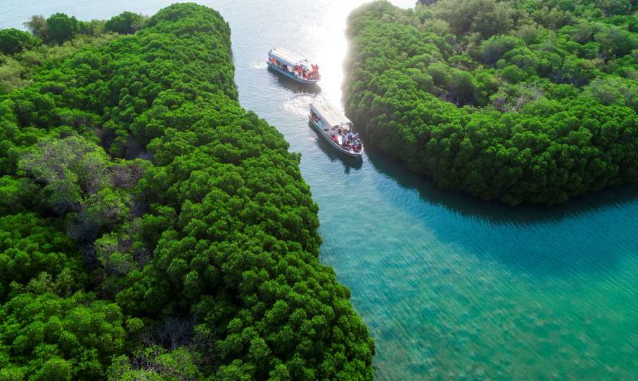 Ai+Architecture LLC Selected for The Strategic Plan for The Jazan